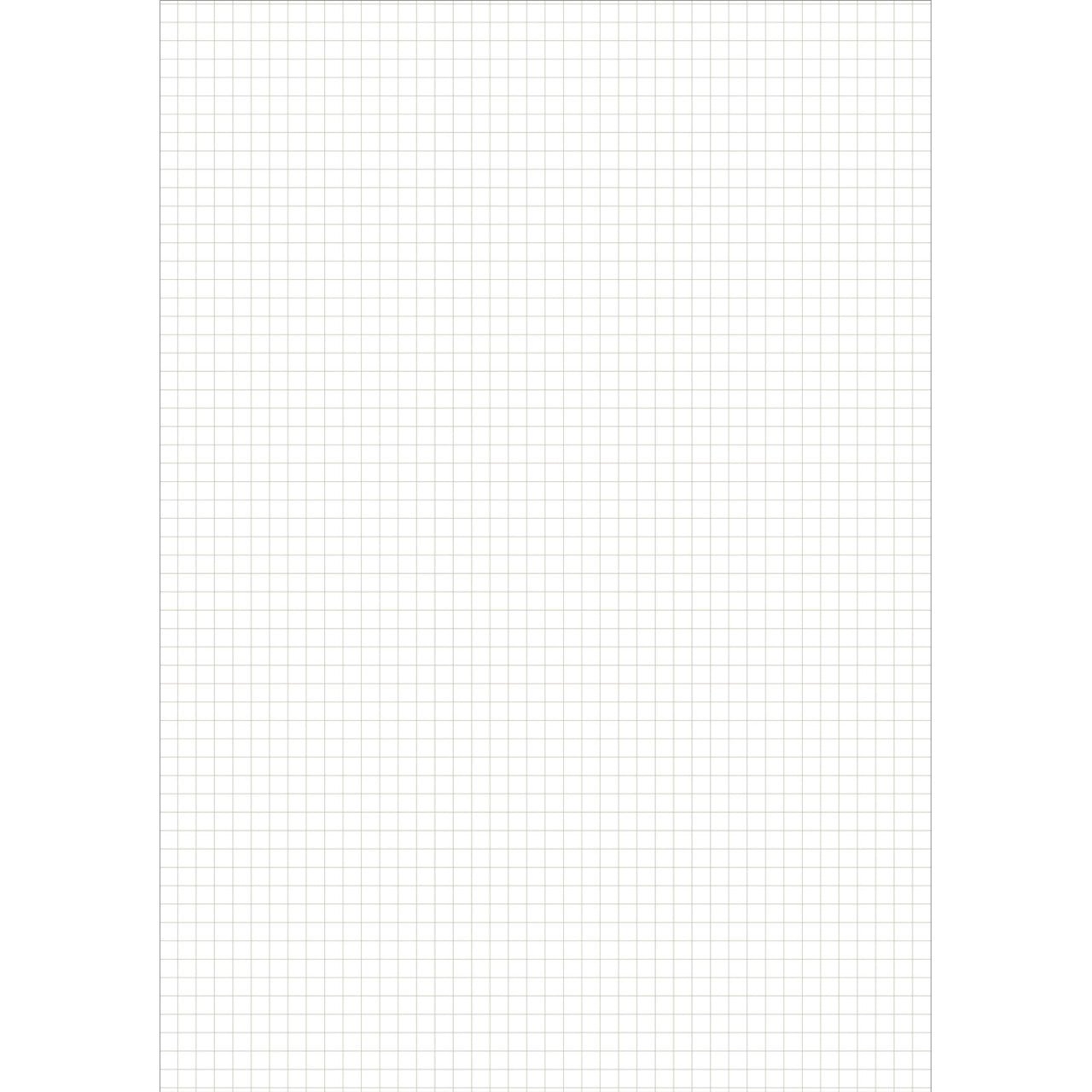 Main Lesson Book, Math Graph Pages