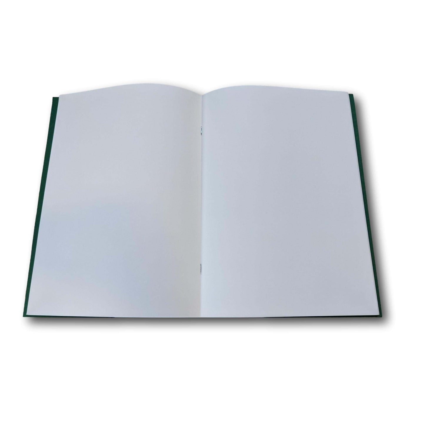 Main Lesson Book, Painting