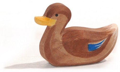 Ostheimer Duck Swimming