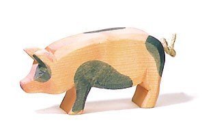 Ostheimer Spotted Pig, Head High