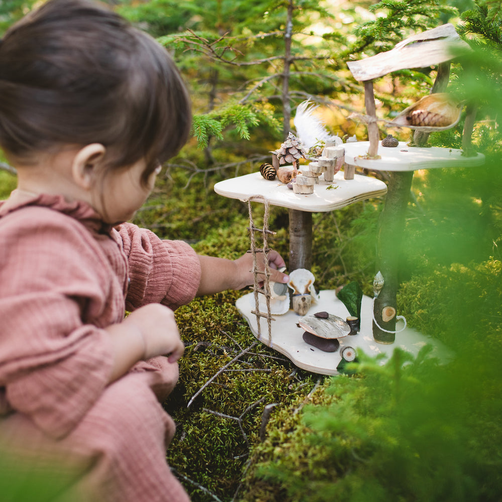 Create Your Own Magical Fairy Garden! - Challenge & Fun, Inc.