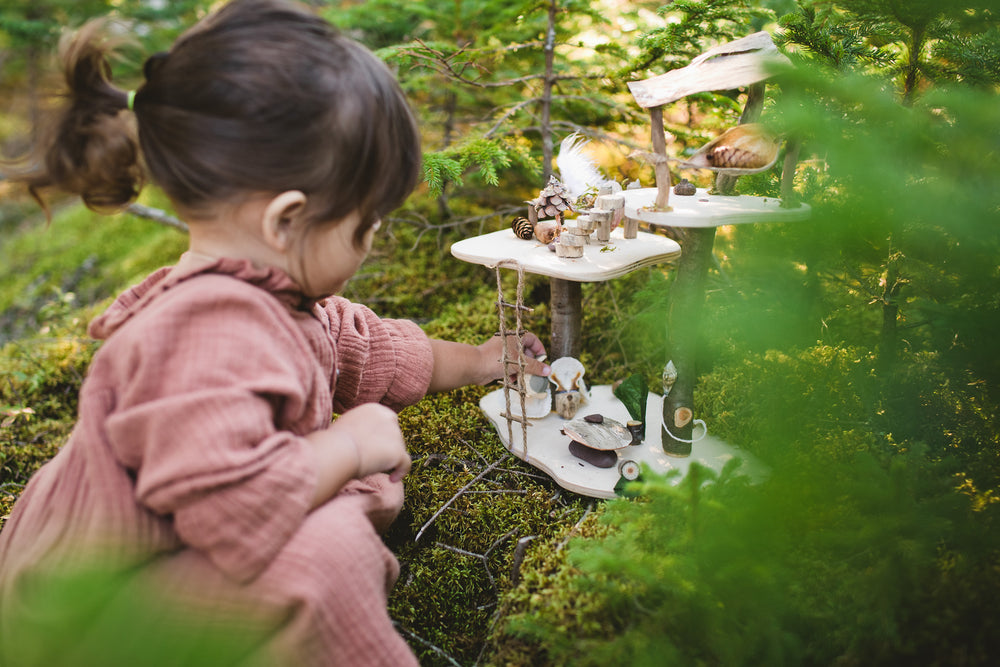 Create Your Own Magical Fairy Garden!