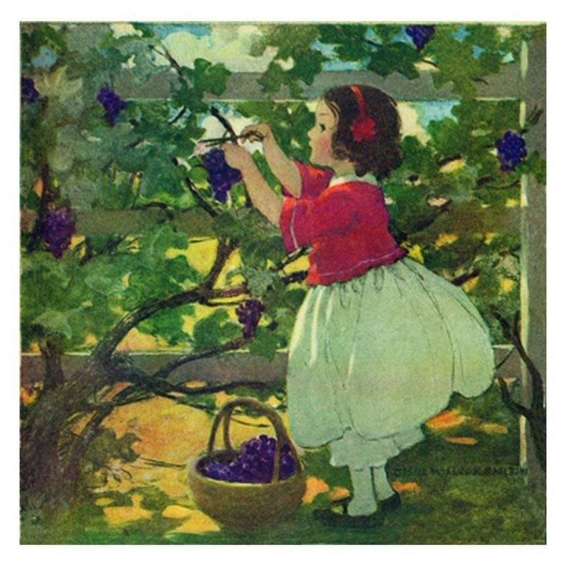 Jessie Willcox Smith Greeting Cards : Picking Grapes - challenge and fun natural toys