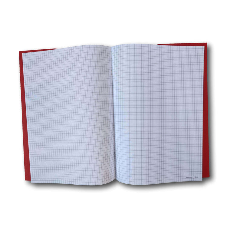 Main Lesson Book, Math Graph Pages - Challenge & Fun, Inc.