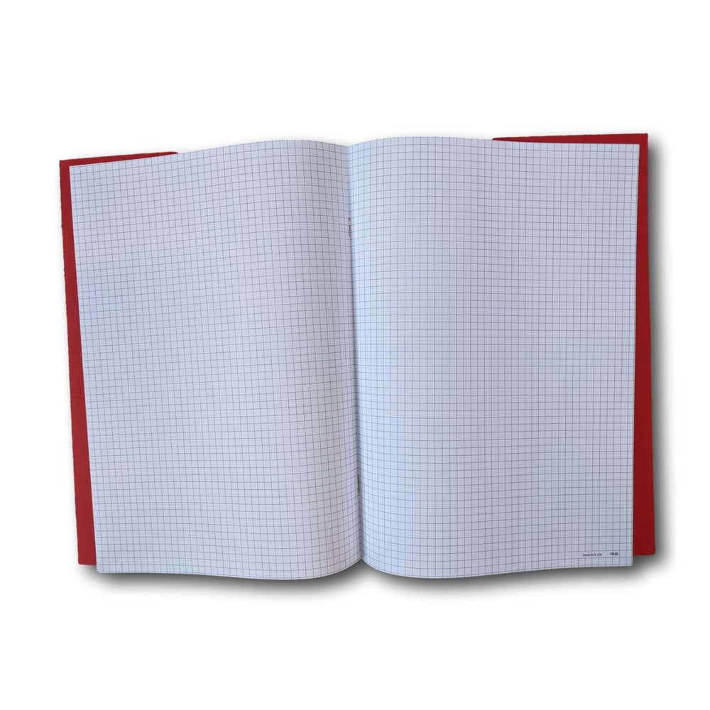 
                  
                    Main Lesson Book, Math Graph Pages
                  
                
