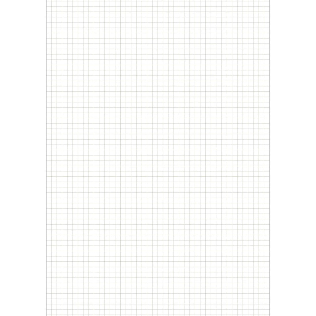 Main Lesson Book, Math Graph Pages - Challenge & Fun, Inc.