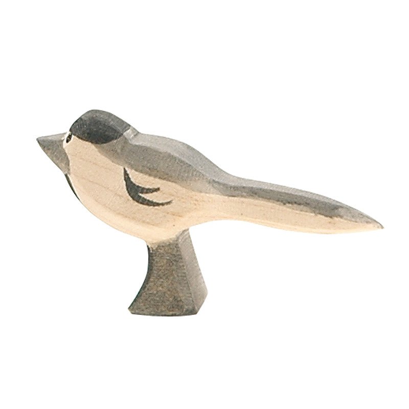 Ostheimer Wagtail Bird