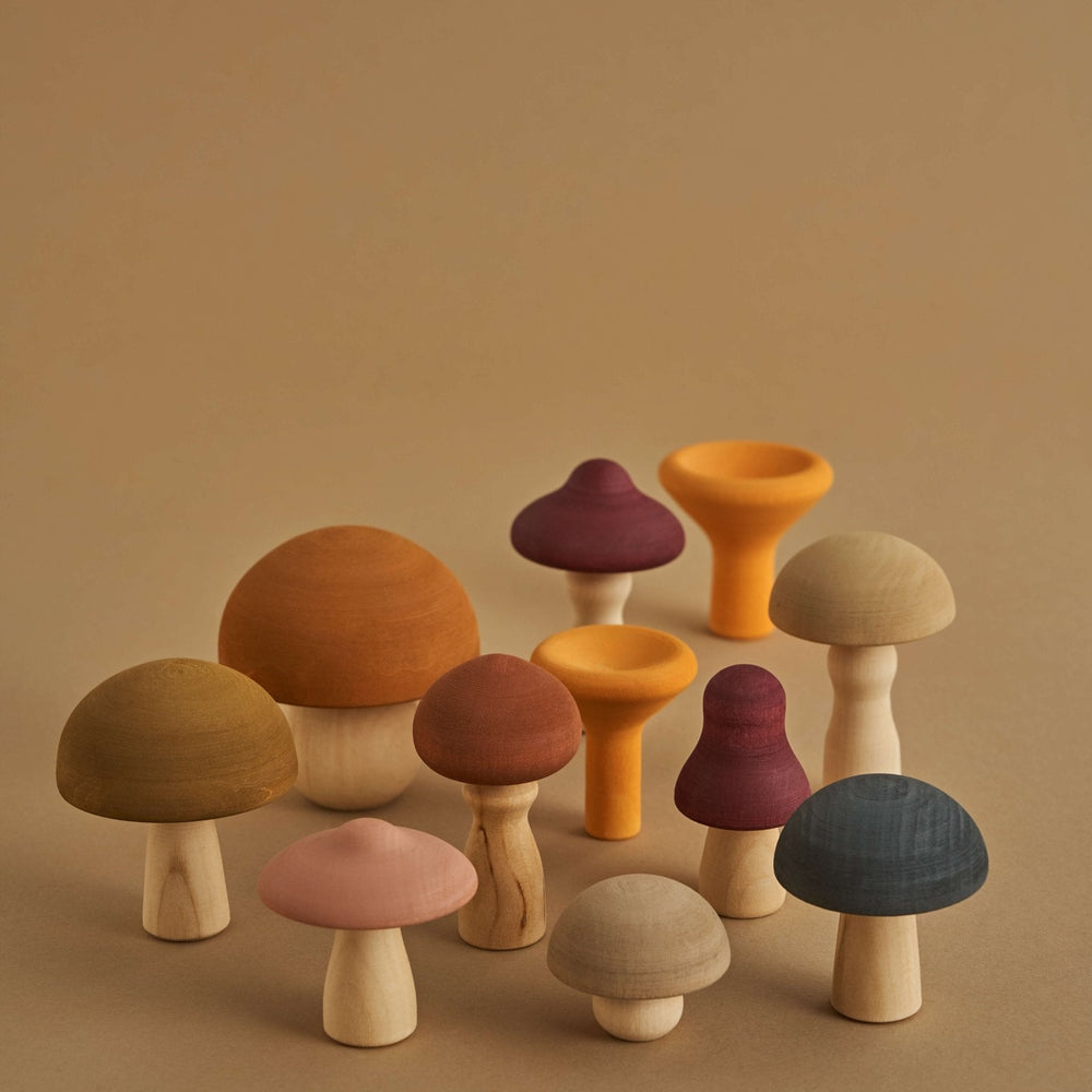 
                      
                        Raduga Grez Wooden Mushrooms
                      
                    