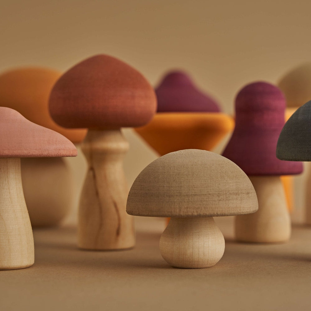 
                      
                        Raduga Grez Wooden Mushrooms
                      
                    