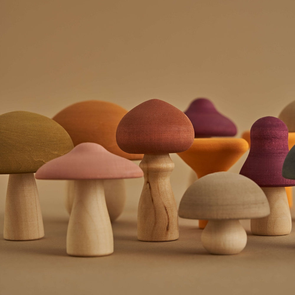
                      
                        Raduga Grez Wooden Mushrooms
                      
                    