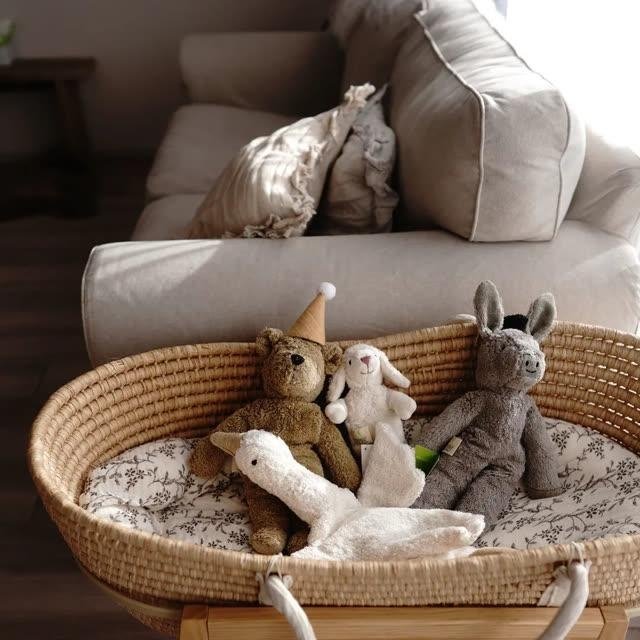 Senger Organic Cotton Baby Lamb, 8" - Challenge & Fun, Inc. - SG-Y21909 - 2
